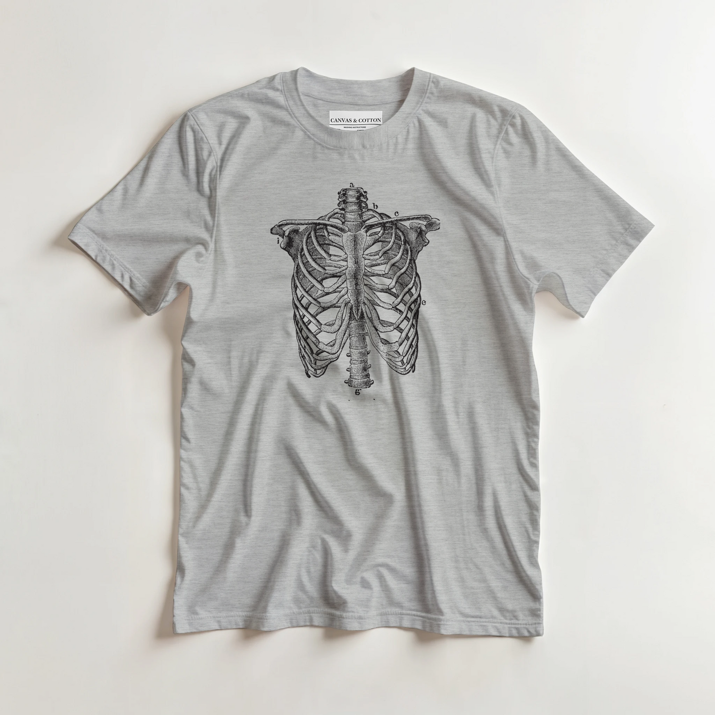 090c06cb-a40b-4f39-8610-c14f8a7fd146