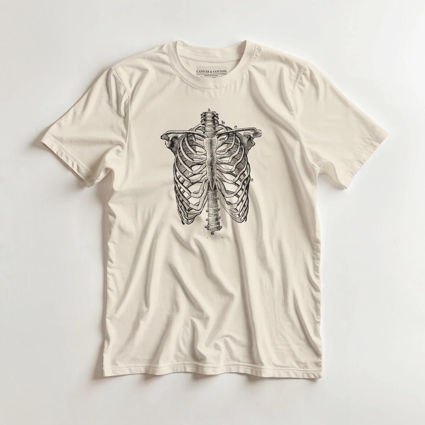 e2731d02-a1ae-45fc-ad08-0f08fa75f5d4